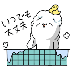 [LINEスタンプ] スカちゃんの毎日スタンプ 