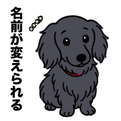 [LINEスタンプ] 名前入りダックスロングソリッドブラック