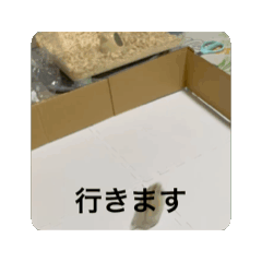 [LINEスタンプ] まめころランド 