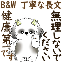 [LINEスタンプ] B＆W 動くシーズー犬 2025 「丁寧な長文」