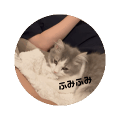 [LINEスタンプ] ポペスタンプ_2 fetchpriority=high