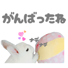 [LINEスタンプ] もちさんのイロイロミックス