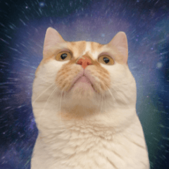 [LINEスタンプ] デカCAT極