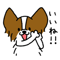 [LINEスタンプ] パピヨンのスタンプだよ3
