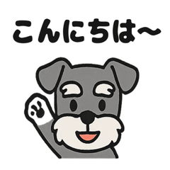 [LINEスタンプ] ほのぼのシュナウザーの日常スタンプ