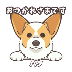 [LINEスタンプ] うちのイヌなど(コーギー)ver.ハク