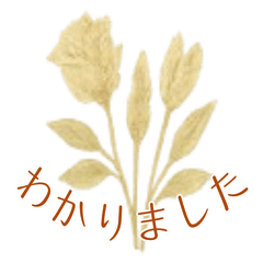 [LINEスタンプ] ドライフラワーのある暮らし