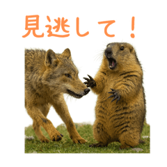 [LINEスタンプ] ハッピーアニマル_マーモット1