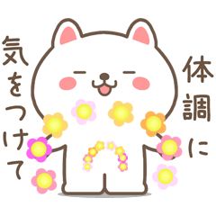 [LINEスタンプ] 動く☆すこやかネコの毎日送れるスタンプ