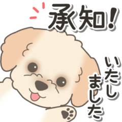 [LINEスタンプ] やさしいマルプー【仕事＆連絡】