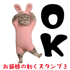 [LINEスタンプ] お猫様の動くスタンプ3