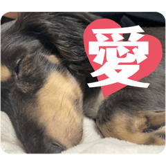 [LINEスタンプ] リオネル❸