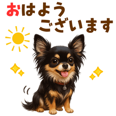 [LINEスタンプ] チワワ好きのためのかわいい日常