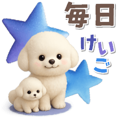 [LINEスタンプ] 毎日使える★トイプードル【敬語・挨拶】