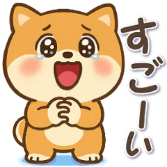 [LINEスタンプ] 動くまる柴っちのスタンプ