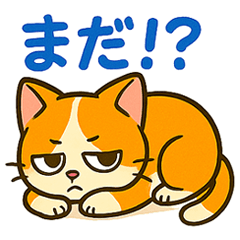 [LINEスタンプ] ツンデレ猫の毎日使えるネガティブスタンプ