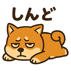[LINEスタンプ] WILD柴犬の毎日使えるネガティブスタンプ