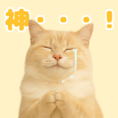 [LINEスタンプ] 我が家の愛猫(妄想)