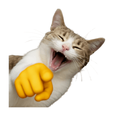 [LINEスタンプ] 猫と黄色いおてて