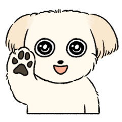 [LINEスタンプ] チワプーCIELくん