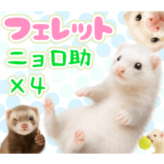 [LINEスタンプ] ニョロ助フェレット - 表情豊かな4カラー