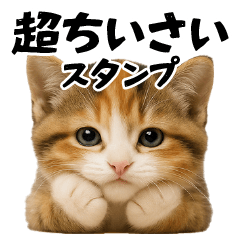 [LINEスタンプ] ちいさいスタンプ♪子猫の日常フレーズ