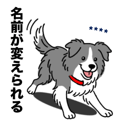 [LINEスタンプ] 名前入りボーダーコリーブルー