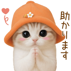 [LINEスタンプ] スコティッシュ猫 可愛いみかんハット 敬語