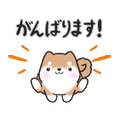 [LINEスタンプ] 動く！元気まるまる豆柴✴︎返事スタンプ