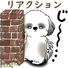[LINEスタンプ] B＆Wシーズー犬 2025 「リアクション」