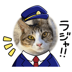 [LINEスタンプ] にゃこココ