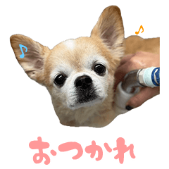 [LINEスタンプ] マブダチの日常。