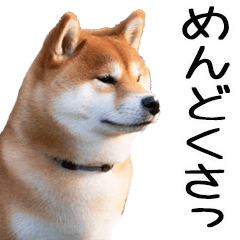 [LINEスタンプ] やる気がない☆柴犬