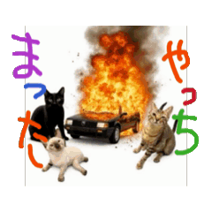 [LINEスタンプ] お酒とネコ好きな日常会話 石家番外編2