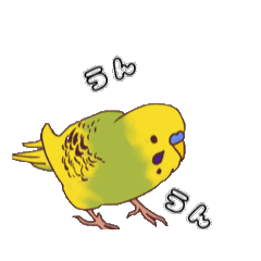 [LINEスタンプ] セキセイインコぽき 