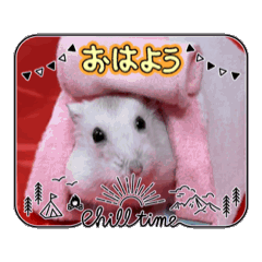 [LINEスタンプ] ハムスタースタンプ日常④ 