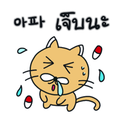 [LINEスタンプ] 月猫の冬物語(韓国語 - タイ語) 