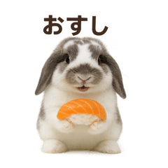 [LINEスタンプ] うさンプ:mochi（食べ物）