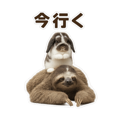 [LINEスタンプ] うさンプ:mochi（日常）