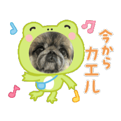 [LINEスタンプ] ♡Tetoのスタンプ♡ 
