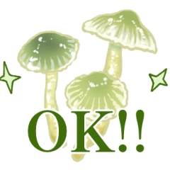 [LINEスタンプ] きのこ真剣手描きスタンプ