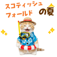 [LINEスタンプ] スコティッシュ子猫☆でか文字スタンプ