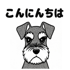 [LINEスタンプ] シュナウザーのあいさつスタンプ