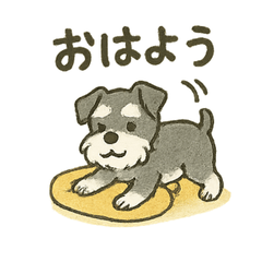 [LINEスタンプ] かわいいミニチュアシュナウザースタンプ