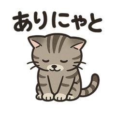 [LINEスタンプ] 脱力アメショのゆるっと毎日