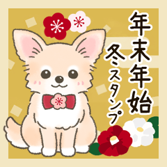 [LINEスタンプ] 【年末年始】チワワちゃん年賀スタンプ再販