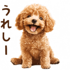 [LINEスタンプ] トイプードルのゆるっとアニメーション♪
