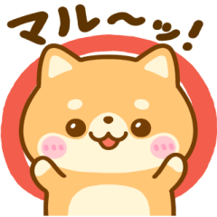 [LINEスタンプ] 全肯定♡ 豆柴日和