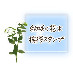 [LINEスタンプ] 秋咲く花＊挨拶スタンプ