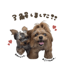 [LINEスタンプ] なると.あじたま.めんまちゃん♡st
